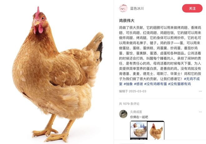 母鸡，咋成了异乡游子的第二个妈？__母鸡，咋成了异乡游子的第二个妈？