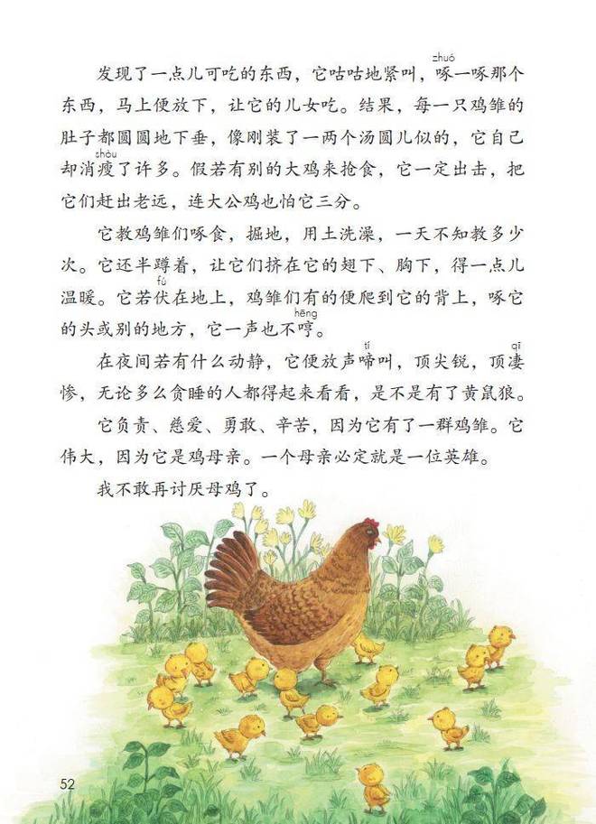 母鸡，咋成了异乡游子的第二个妈？__母鸡，咋成了异乡游子的第二个妈？