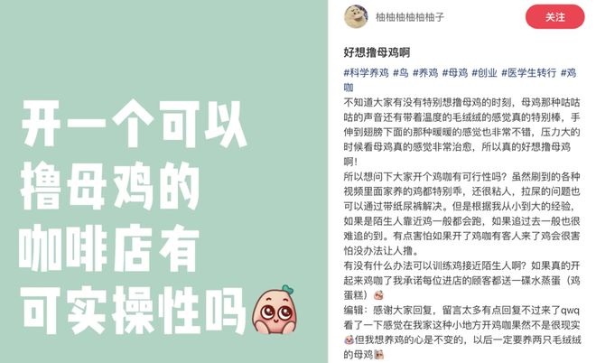 母鸡，咋成了异乡游子的第二个妈？_母鸡，咋成了异乡游子的第二个妈？_