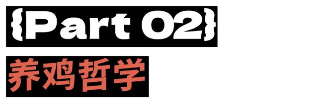 _母鸡，咋成了异乡游子的第二个妈？_母鸡，咋成了异乡游子的第二个妈？