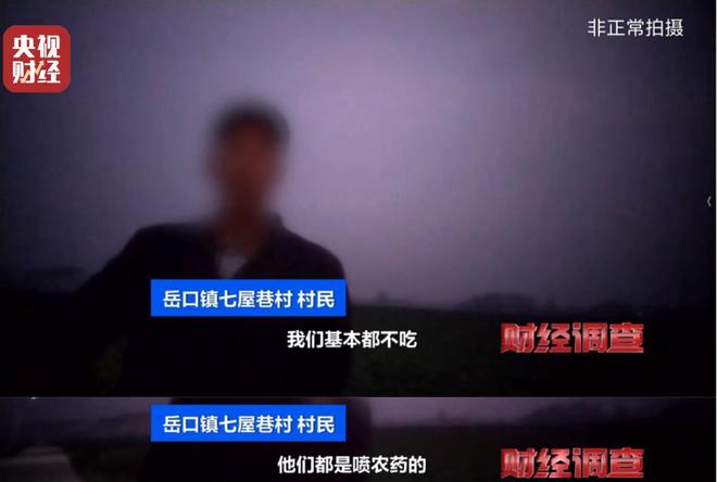 厂家铤而走险，商户违规牟利！含毒农药逃避市场监管？《财经调查》曝光→__厂家铤而走险，商户违规牟利！含毒农药逃避市场监管？《财经调查》曝光→