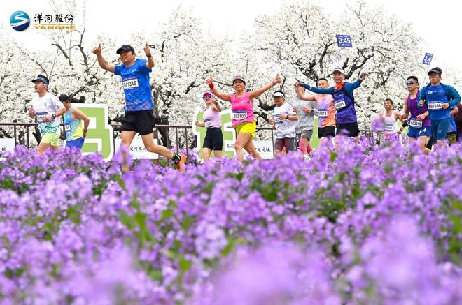 洋河股份成为2026“迁马”荣耀赞助商！三重福利等你来_洋河股份成为2026“迁马”荣耀赞助商！三重福利等你来_