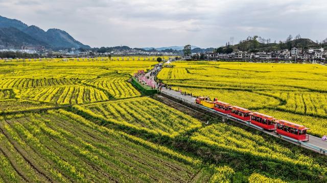 _产业振兴是乡村振兴战略的_乡村社会治理建设是乡村振兴的