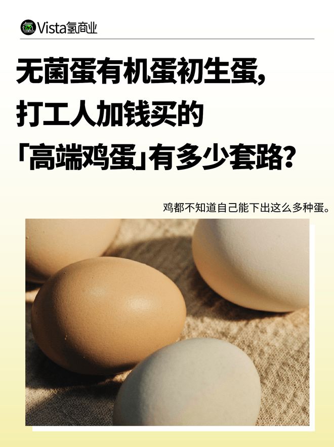 素鸡蛋是什么意思_素鸡蛋是什么原材料做的_