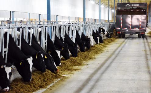 都市之奶爸军火巨头_品友互动ipo_