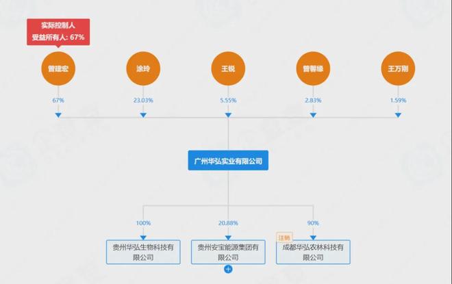 山上的灵芝怎么吃__山林优选灵芝交易平台
