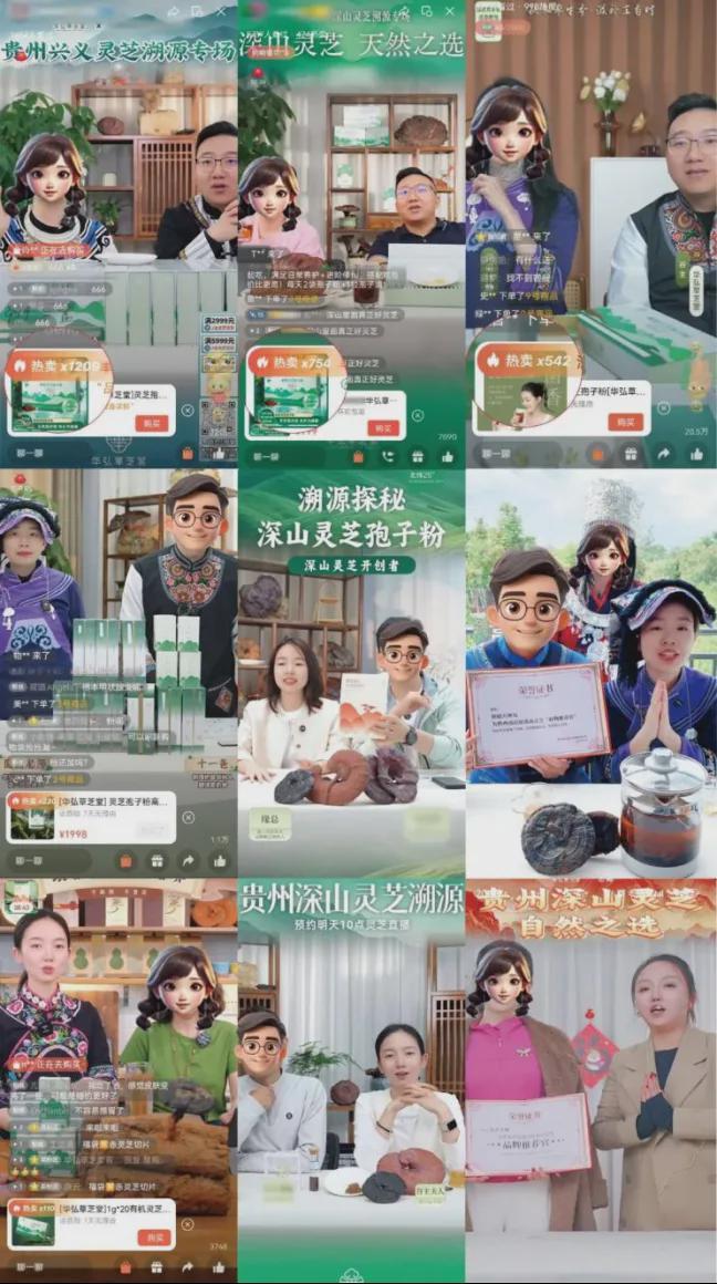 _山上的灵芝怎么吃_山林优选灵芝交易平台