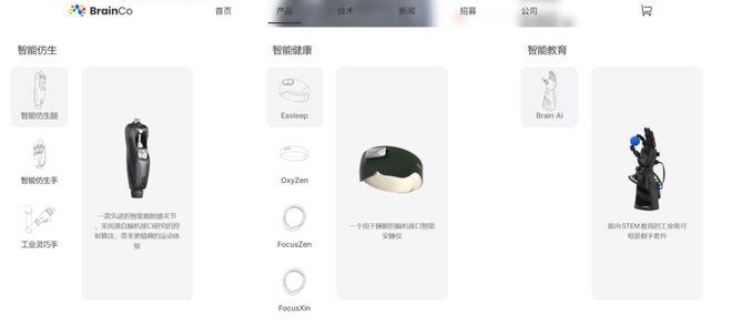 马斯克的脑机接口是什么意思_脑机接口技术马斯克_