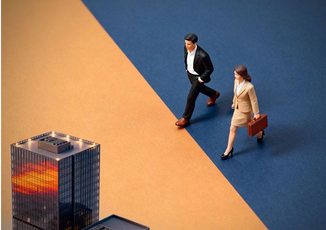 _广发基金杨冬_杨东广发基金