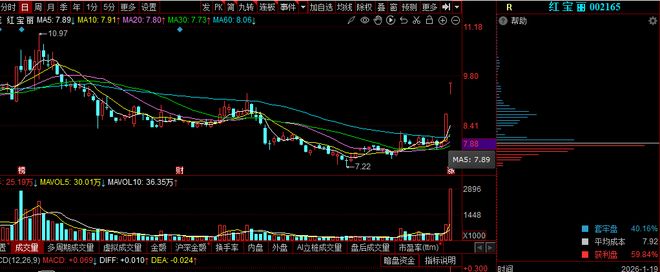 红宝丽怎么样_红宝丽是什么板块_