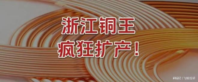 浙江铜王，疯狂扩产！