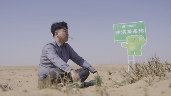 _“北菜南运”沙漠菜，丰盛了谁的餐桌？_“北菜南运”沙漠菜，丰盛了谁的餐桌？