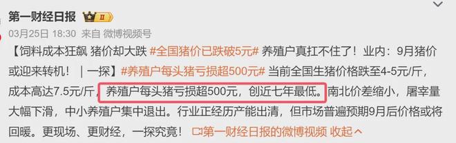 养猪集团亏损_2021年抓住养猪股股票_