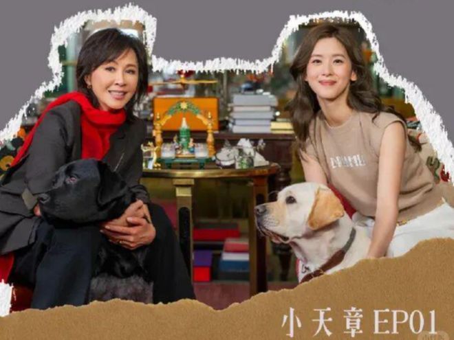 章泽天开播客你还没看懂，背后是一场互联网新流量大战_章泽天开播客你还没看懂，背后是一场互联网新流量大战_