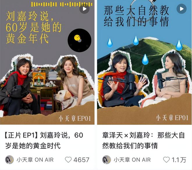 章泽天开播客你还没看懂，背后是一场互联网新流量大战__章泽天开播客你还没看懂，背后是一场互联网新流量大战