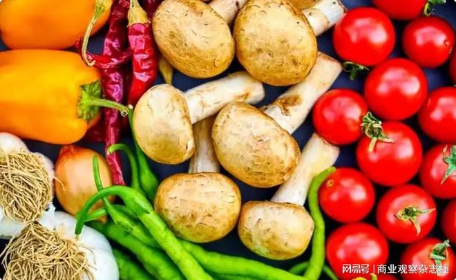 多措并举应对寒潮低温天气 各地保障蔬菜生产守护百姓“菜篮子”