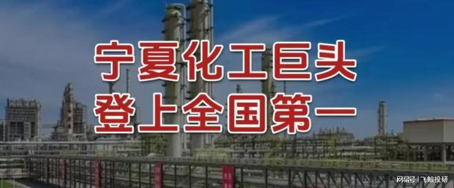 刚刚，宁夏化工巨头，登上全国第一！