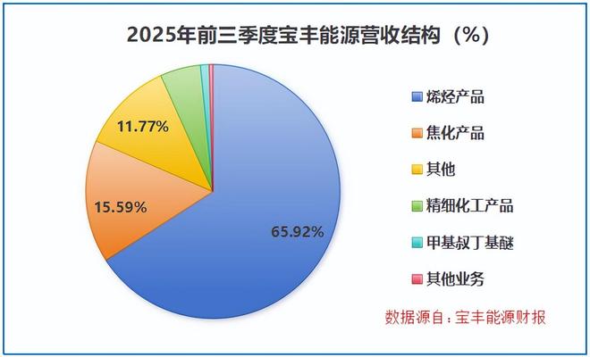 _宁夏最大化工_宁夏大型化工企业