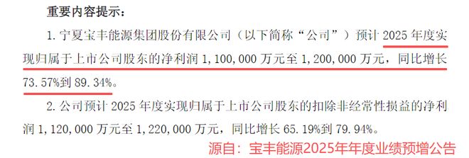 宁夏大型化工企业_宁夏最大化工_