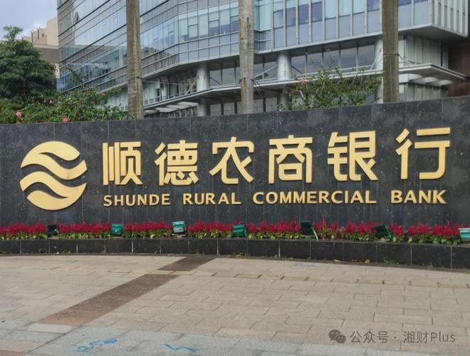 _顺德集团总经理_顺德的老板