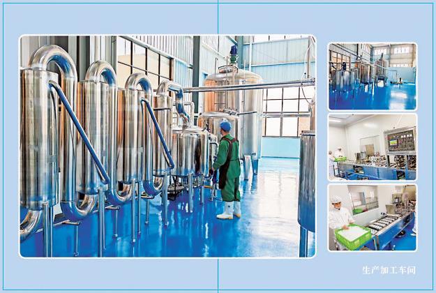 绘画的多元化视频_画卷展现_