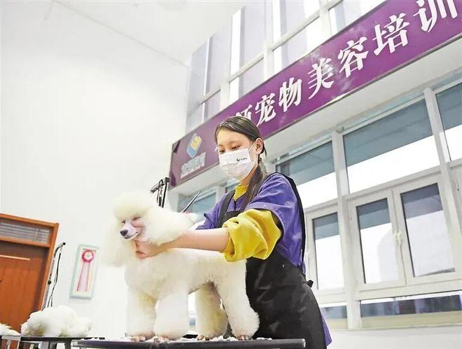 _王宝强家里穷_王宝强回老家