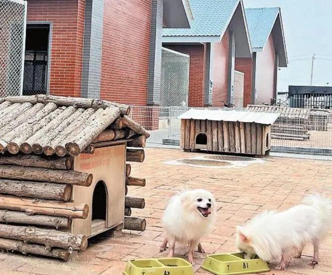 _王宝强家里穷_王宝强回老家