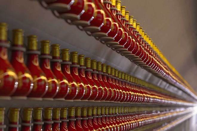 看见的力量：在郎酒庄园，“三面墙”如何让人“心悦诚服”__看见的力量：在郎酒庄园，“三面墙”如何让人“心悦诚服”