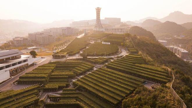 _看见的力量：在郎酒庄园，“三面墙”如何让人“心悦诚服”_看见的力量：在郎酒庄园，“三面墙”如何让人“心悦诚服”