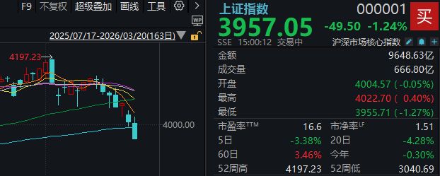 反弹股市什么意思__恐慌下跌