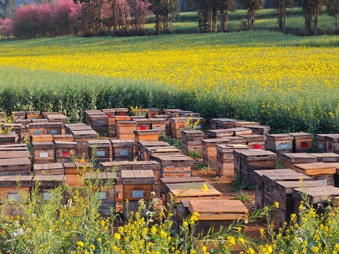 锚定“三化”方向 实施“五大行动”——罗平产业园区擘画“十五五”高质量发展新蓝图__锚定“三化”方向 实施“五大行动”——罗平产业园区擘画“十五五”高质量发展新蓝图