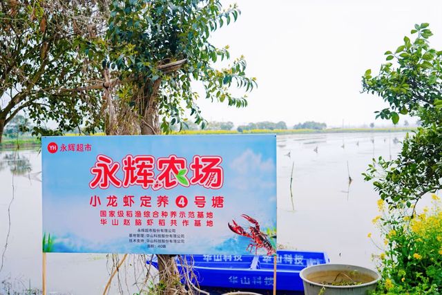永辉'虾源革命"：源头定养+全程严选，只为可溯源的干净小龙虾