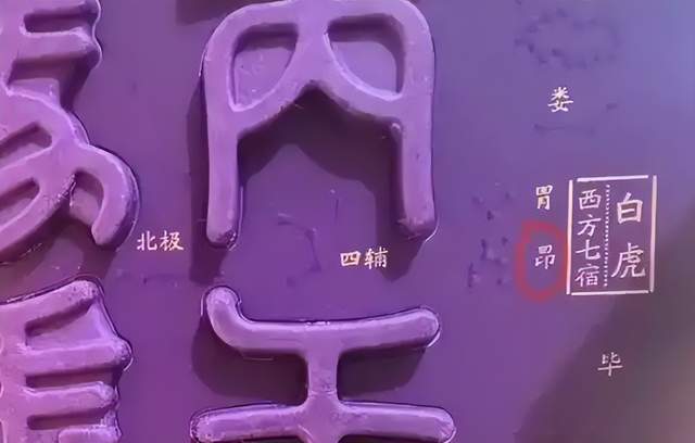 农夫和他的儿子们电影__农夫山泉水中茅台