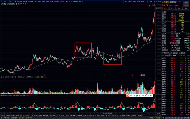 _精读季报丨真猛...韩创重仓股今天4只涨停，还有2只涨8%+_精读季报丨真猛...韩创重仓股今天4只涨停，还有2只涨8%+
