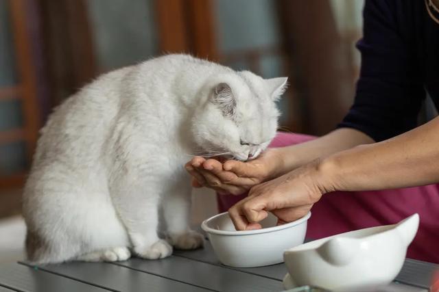 _茅台破三万亿_茅台竞争