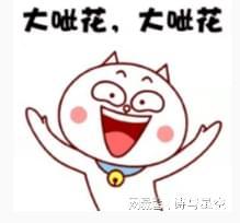 梯子游戏走势__车用不锈钢抽拉梯子