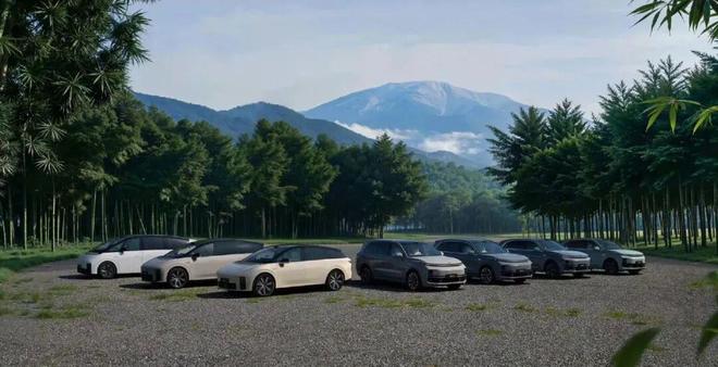 理想汽车跌超9%_理想销量破万_