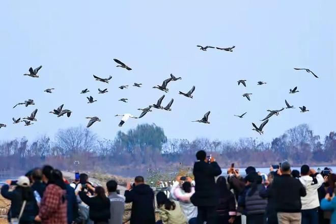 羽绒服集体卖上千元，背后最大赢家竟是鄱阳湖？__羽绒服集体卖上千元，背后最大赢家竟是鄱阳湖？