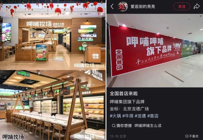 _海底捞提供哪些饮品_海底捞需要做什么