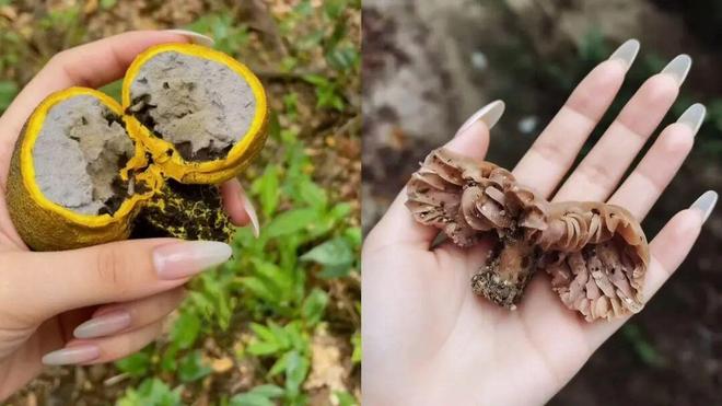 云南县城，成了一线中产的新欢？__云南县城，成了一线中产的新欢？