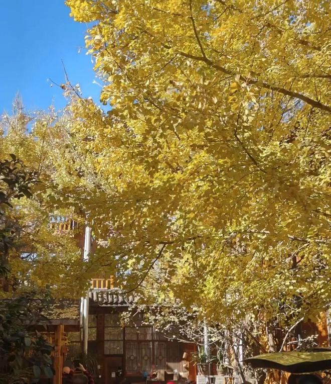 云南县城，成了一线中产的新欢？__云南县城，成了一线中产的新欢？