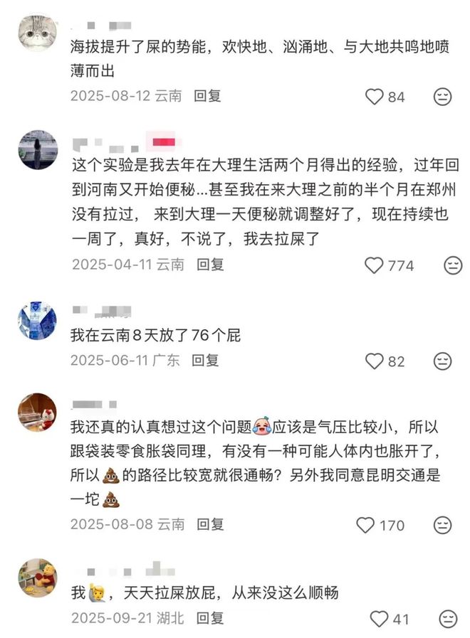 云南县城，成了一线中产的新欢？_云南县城，成了一线中产的新欢？_