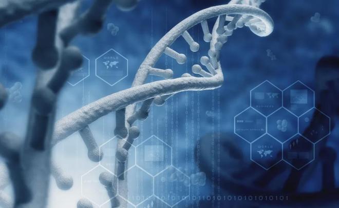 泰林生物：2025年实现营收3.40亿元，海外营收规模同比增长69.07%