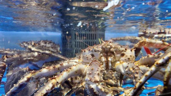 _国民超市登陆年轻引力场！永辉超市广州正佳广场店1月30日试营业_国民超市登陆年轻引力场！永辉超市广州正佳广场店1月30日试营业